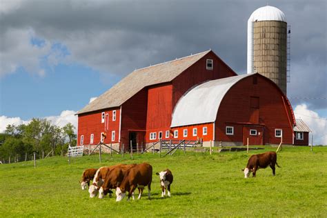 Farm & fleet chippewa falls wisconsin - View all Blain's Farm & Fleet jobs in Chippewa Falls, WI - Chippewa Falls jobs; Salary Search: Sales Associate salaries in Chippewa Falls, WI; See popular questions & answers about Blain's Farm & Fleet; B2B Outside Sales Representative. New. SMS 3.7. Eau Claire, WI. $100,000 - $110,000 a year. Full-time. Monday to Friday. Easily apply: Preparing for …